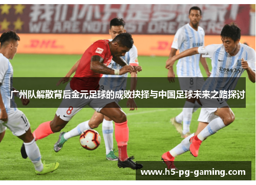 广州队解散背后金元足球的成败抉择与中国足球未来之路探讨
