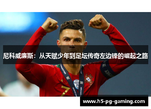 尼科威廉斯：从天赋少年到足坛传奇左边锋的崛起之路