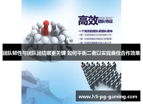 团队韧性与团队团结哪更关键 如何平衡二者以实现最佳合作效果
