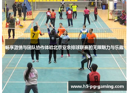 畅享激情与团队协作体验北京业余排球联赛的无限魅力与乐趣